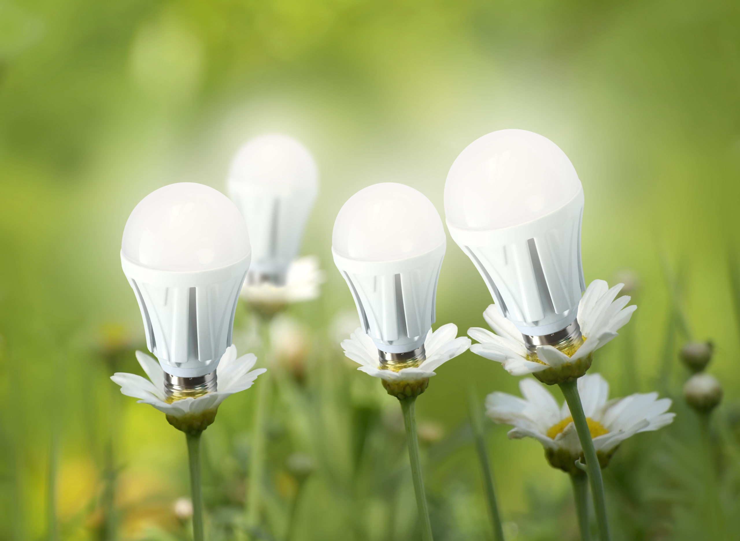 LED-Contracting