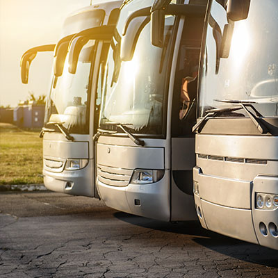 Drei parkende Busse